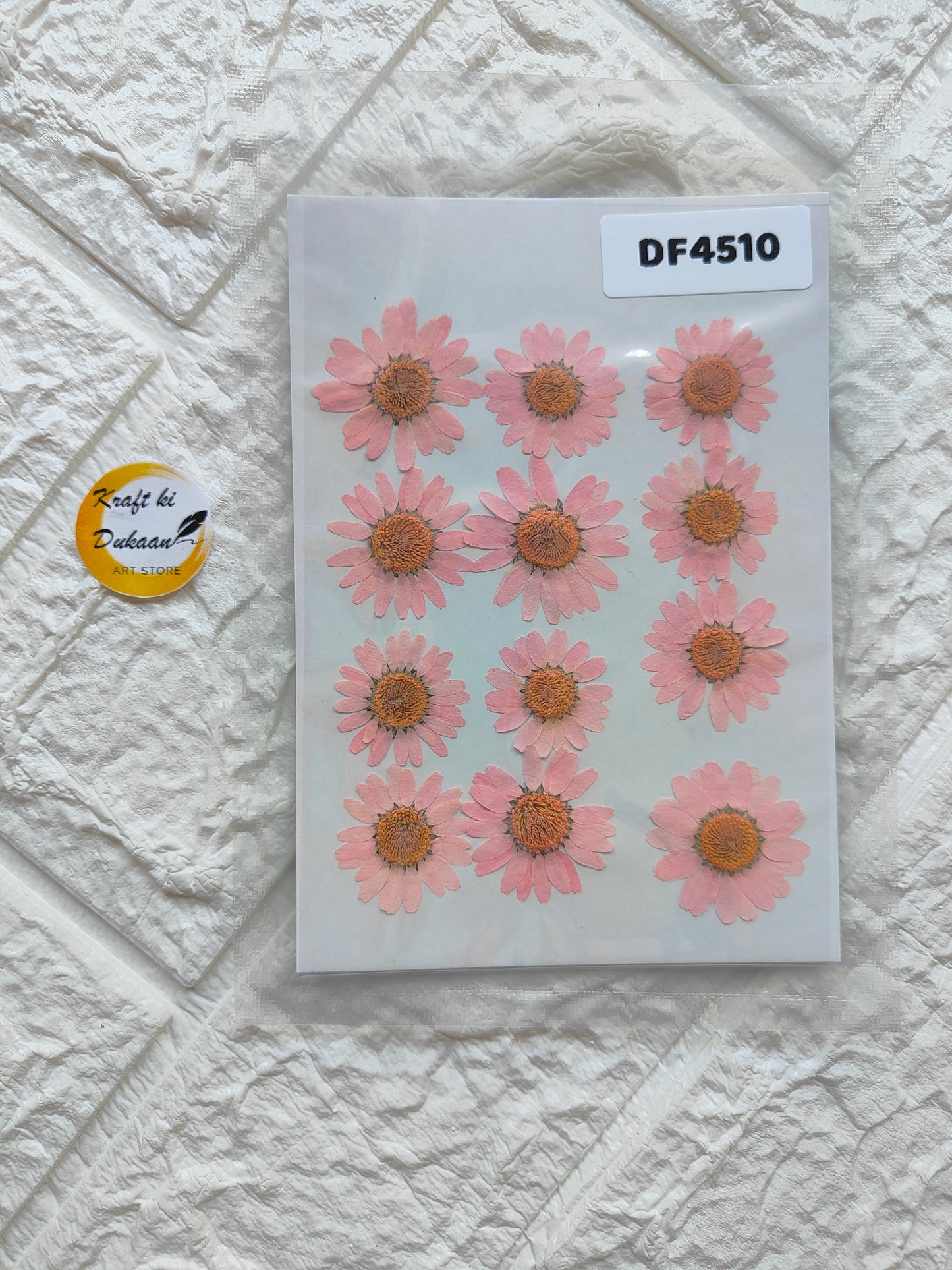 Pack of real daisy flower sheets featuring pink daisies on a clear background for crafts