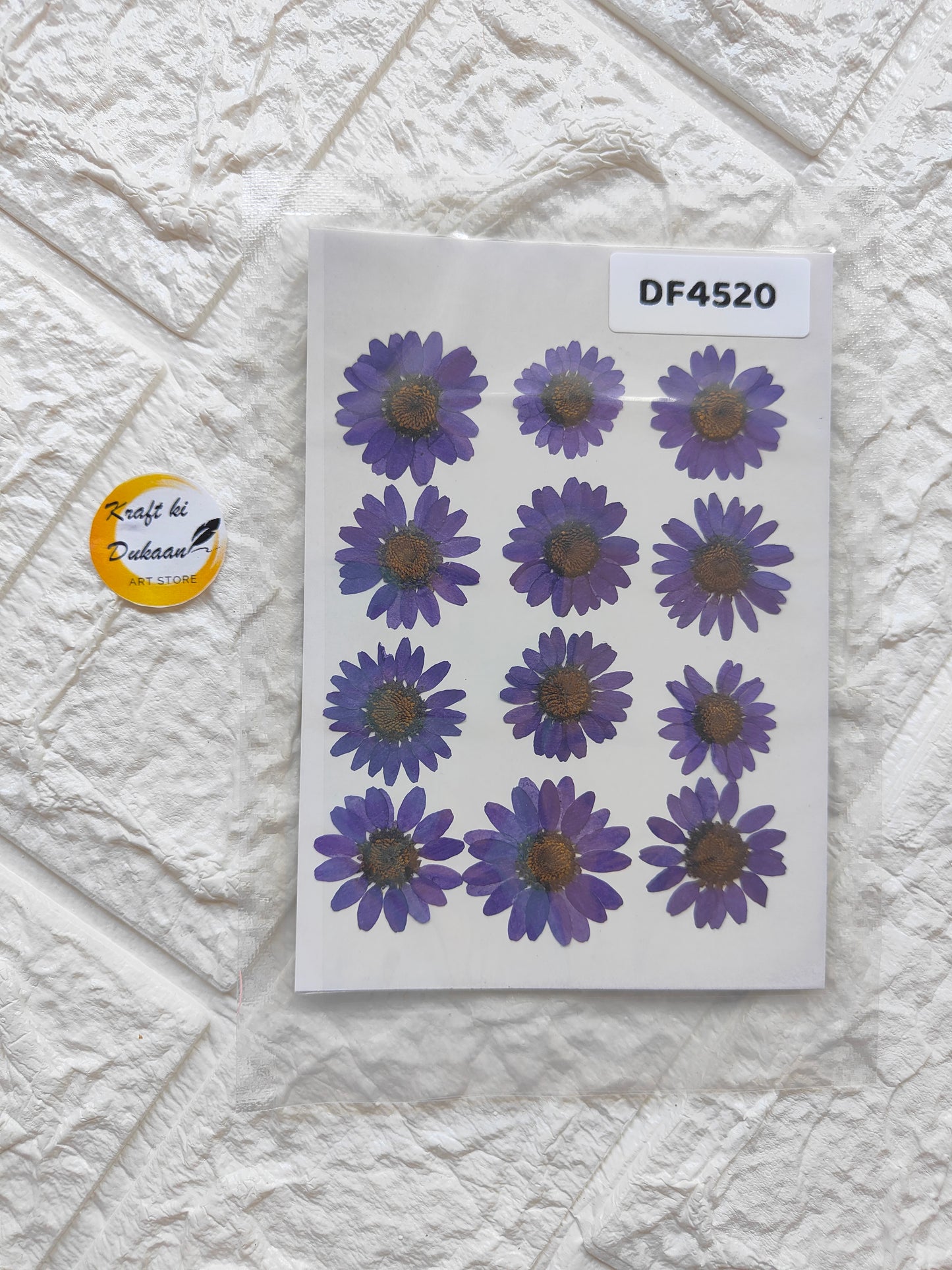 Real daisy flower sheets featuring vibrant purple flowers on a clear backing for crafts and decorations
