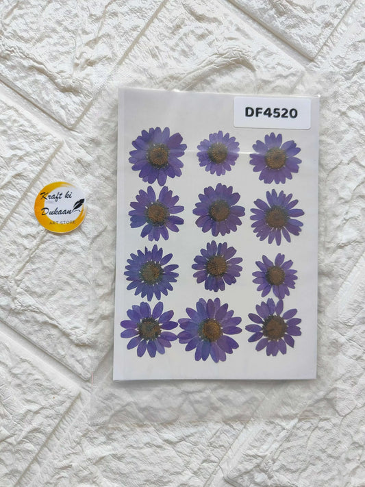 Daisy Pressed Flower Sheet (Purple) with purple daisy flower stickers in rows.