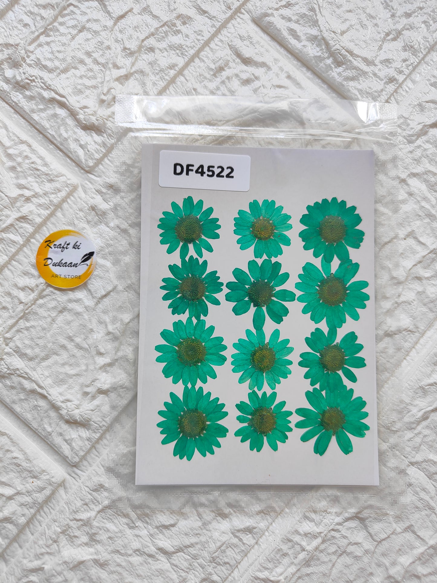Craft supply pack featuring real daisy flower sheets in vibrant green for DIY projects
