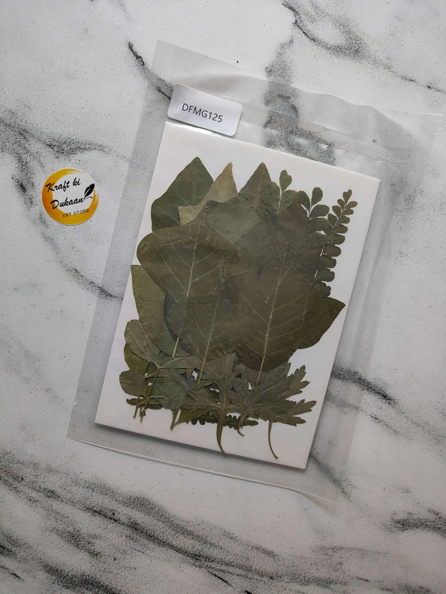 Pressed Flower Sheet E2 with dark green pressed leaves and small sprigs