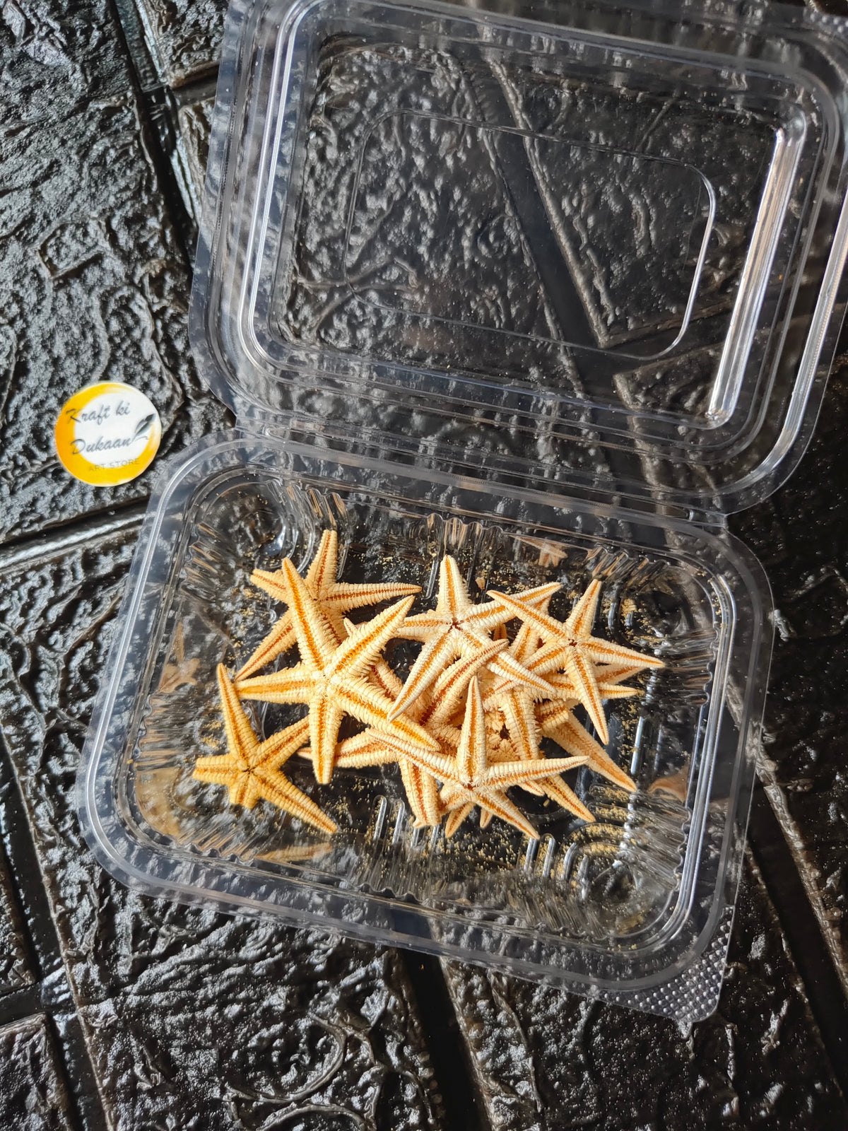 10-piece starfish set in clear plastic box with orange and cream star-shaped pieces