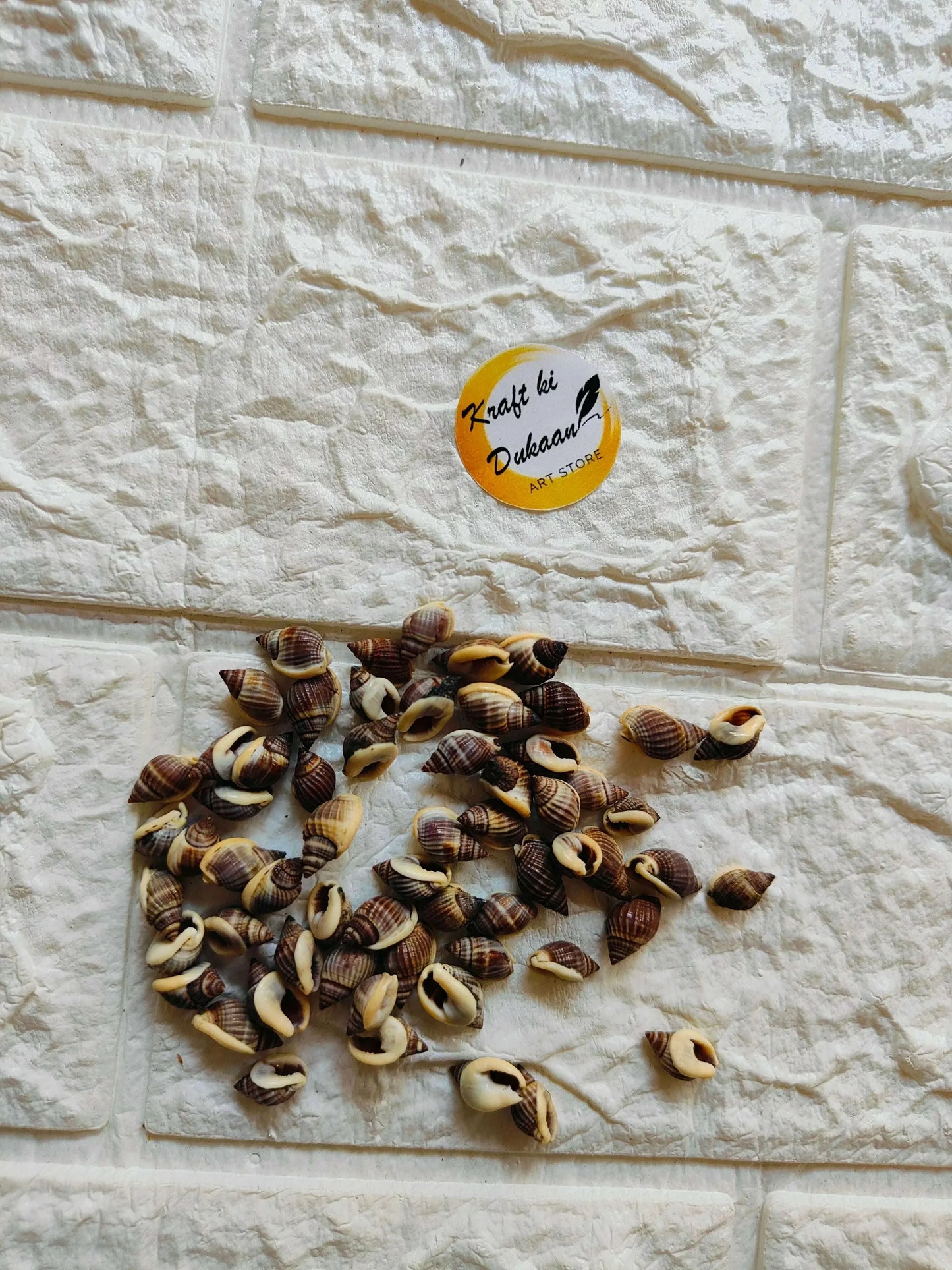 Sea shell pile of small brown-and-cream spiral shells with visible openings