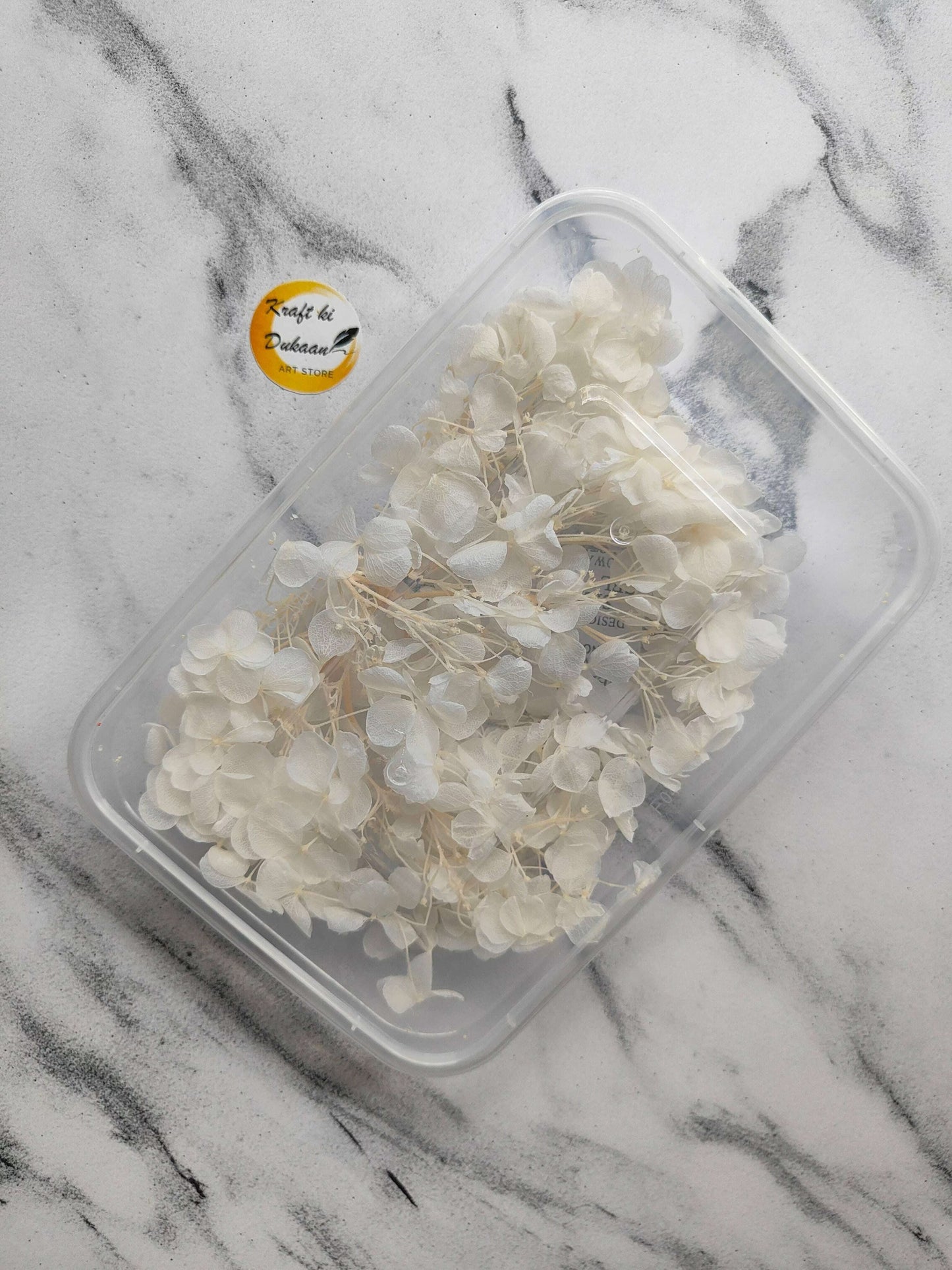 white-hydrangea-dry-flower-box-transparent-storage-case