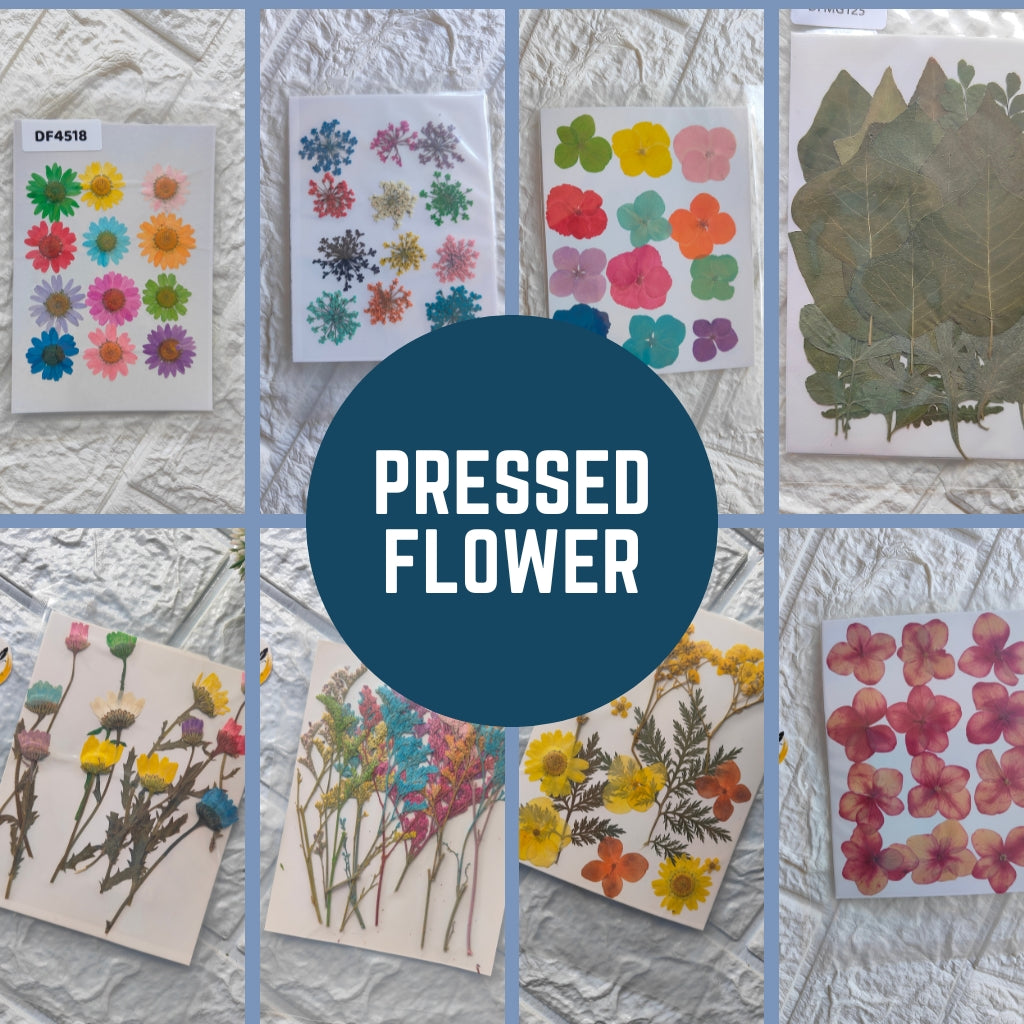 Collection of assorted pressed flowers in vibrant colors, perfect for crafts; buy pressed flowers online.