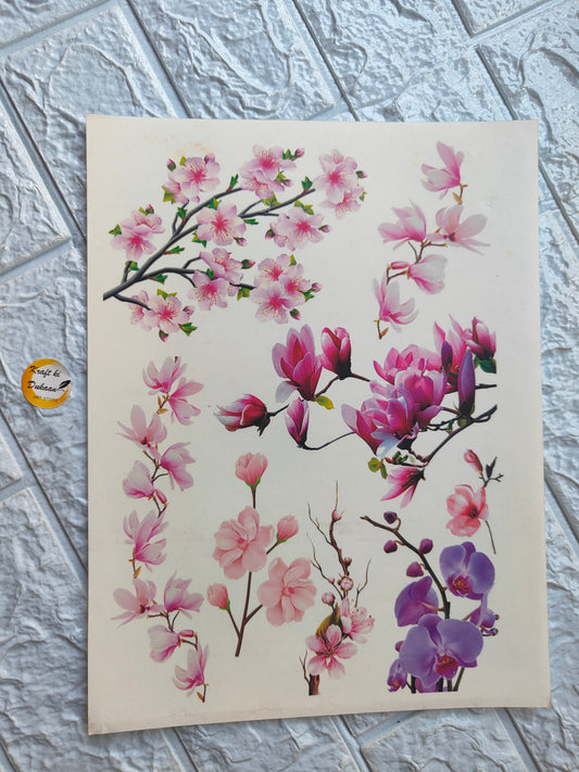 Colour Sticker A4 size - A19 - Kraft ki Dukaan