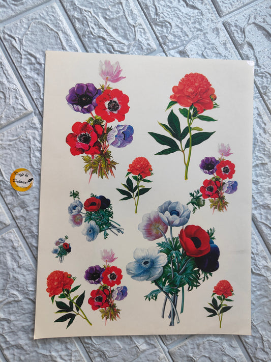 Colour Sticker A4 size - A14 - Kraft ki Dukaan