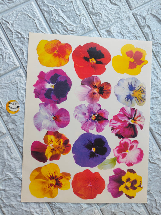 Colour Sticker A4 size - A18 - Kraft ki Dukaan