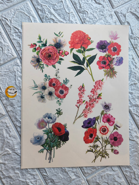 Colour Sticker A4 size - A10 - Kraft ki Dukaan