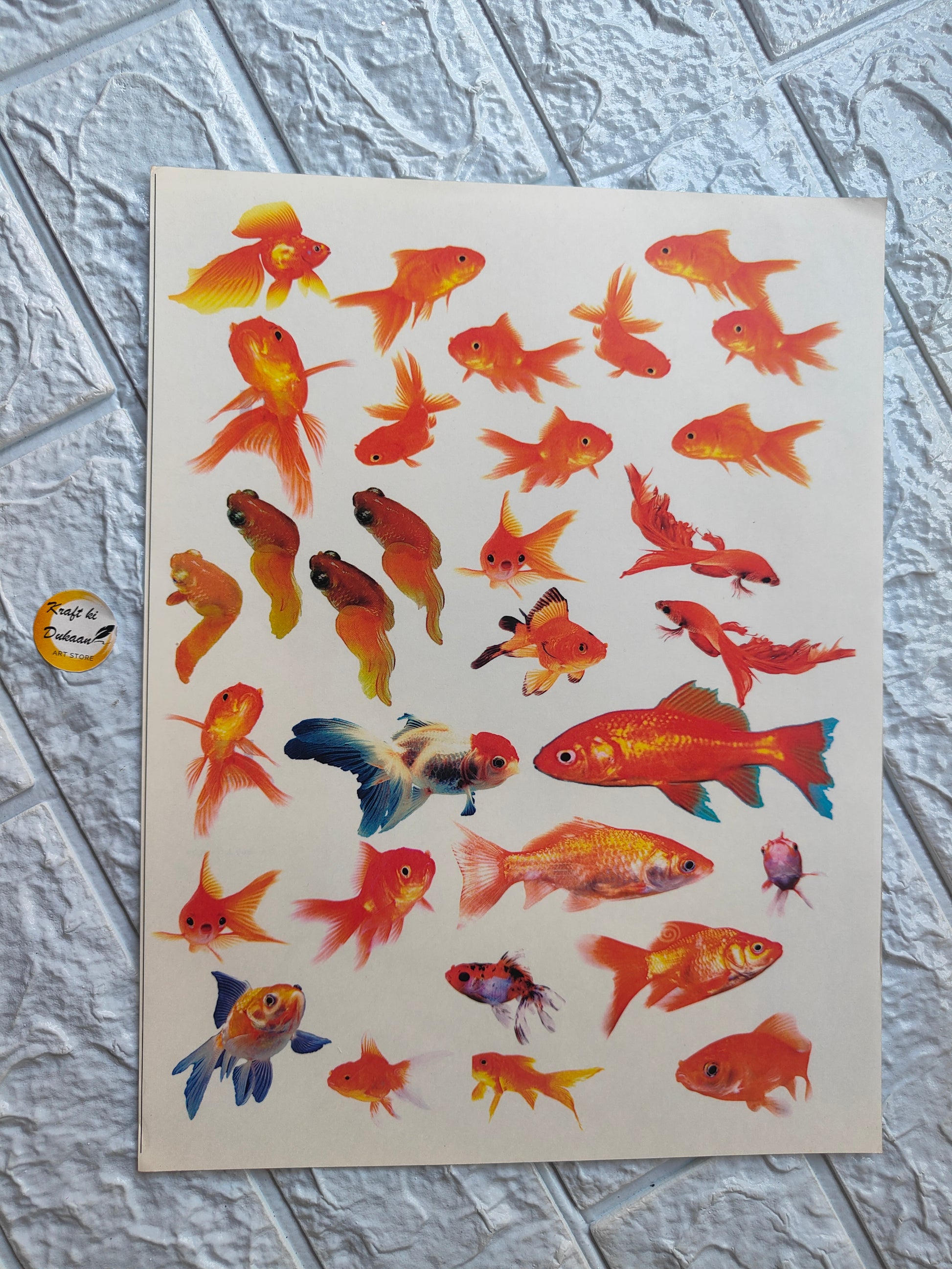 Colour Sticker A4 size - A5 - Kraft ki Dukaan
