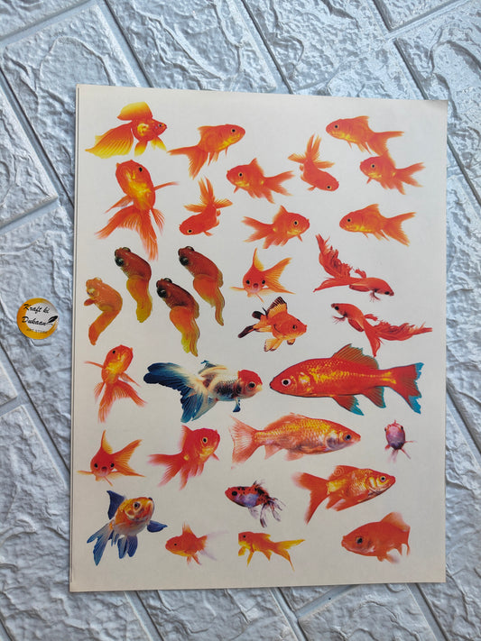Colour Sticker A4 size - A5 - Kraft ki Dukaan