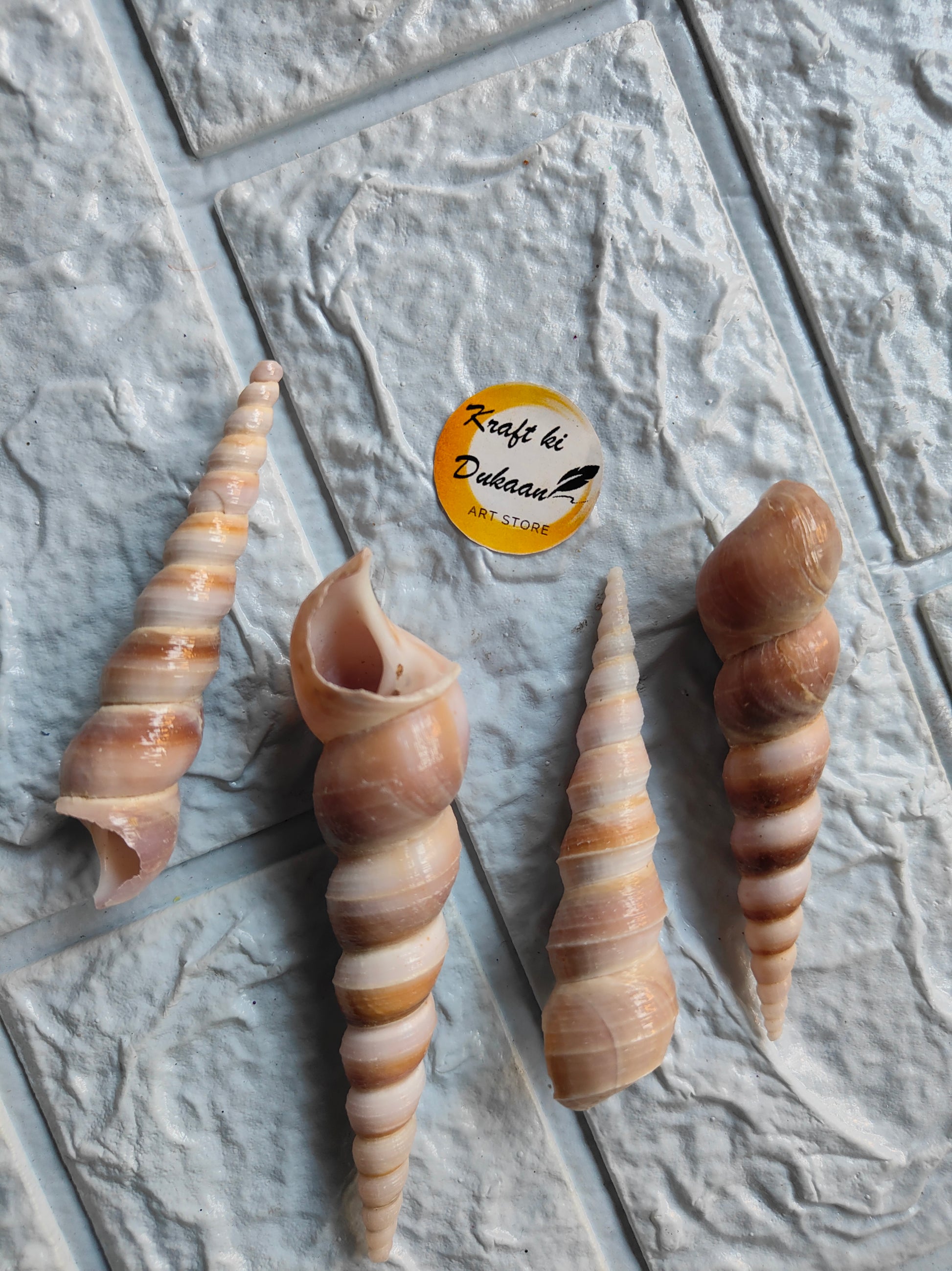 Sea Shell A5 - Kraft ki Dukaan
