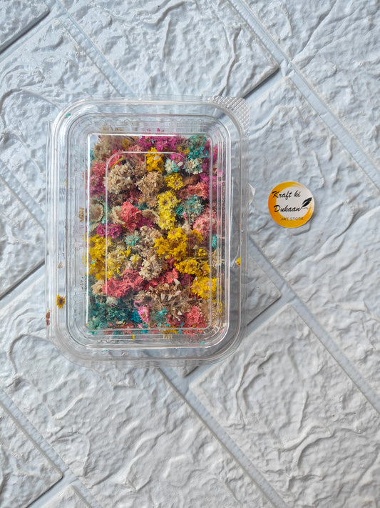 Himalayan Dry Daisy Flower Box - Kraft ki Dukaan