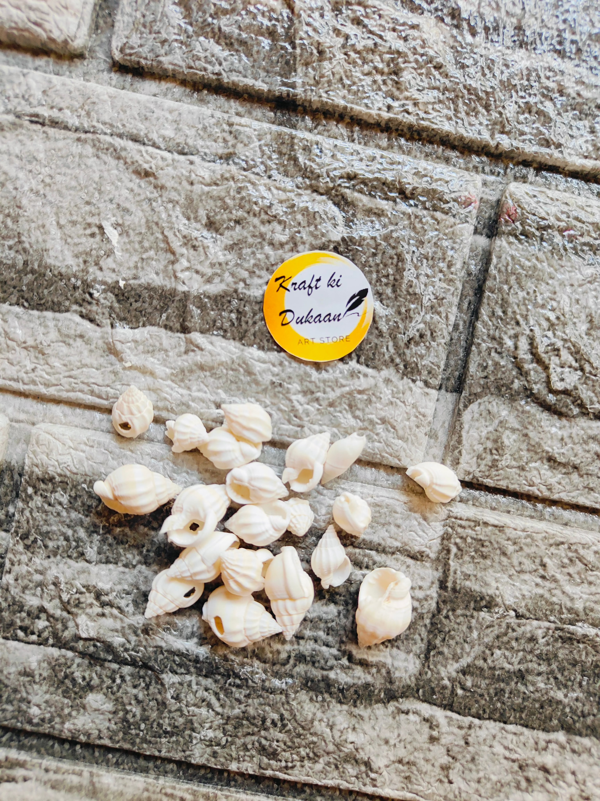 Sea Shell Pack of 50 A4 - Kraft ki Dukaan