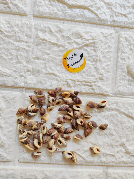 Sea Shell A7 - Kraft ki Dukaan