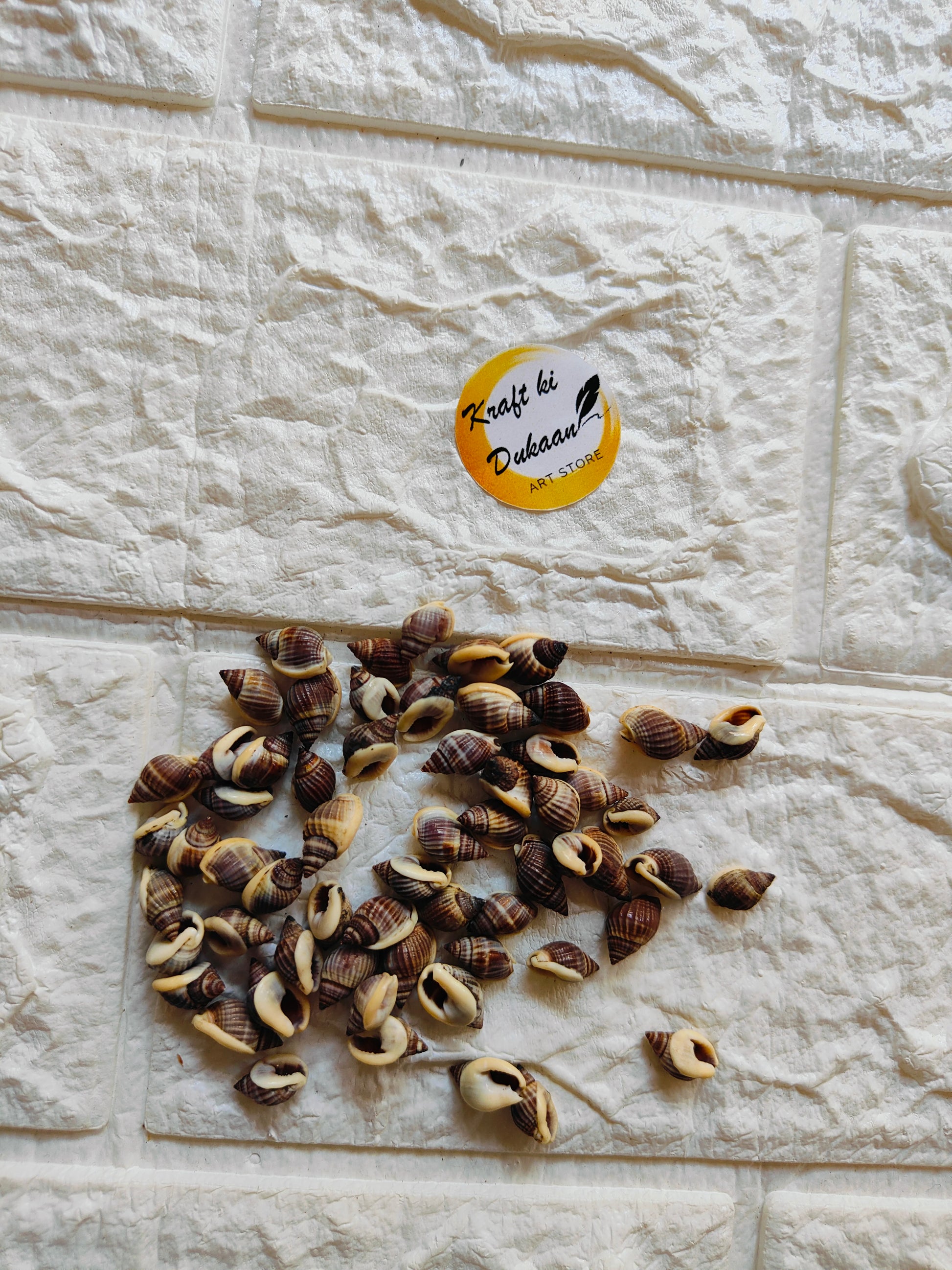 Sea Shell A7 - Kraft ki Dukaan