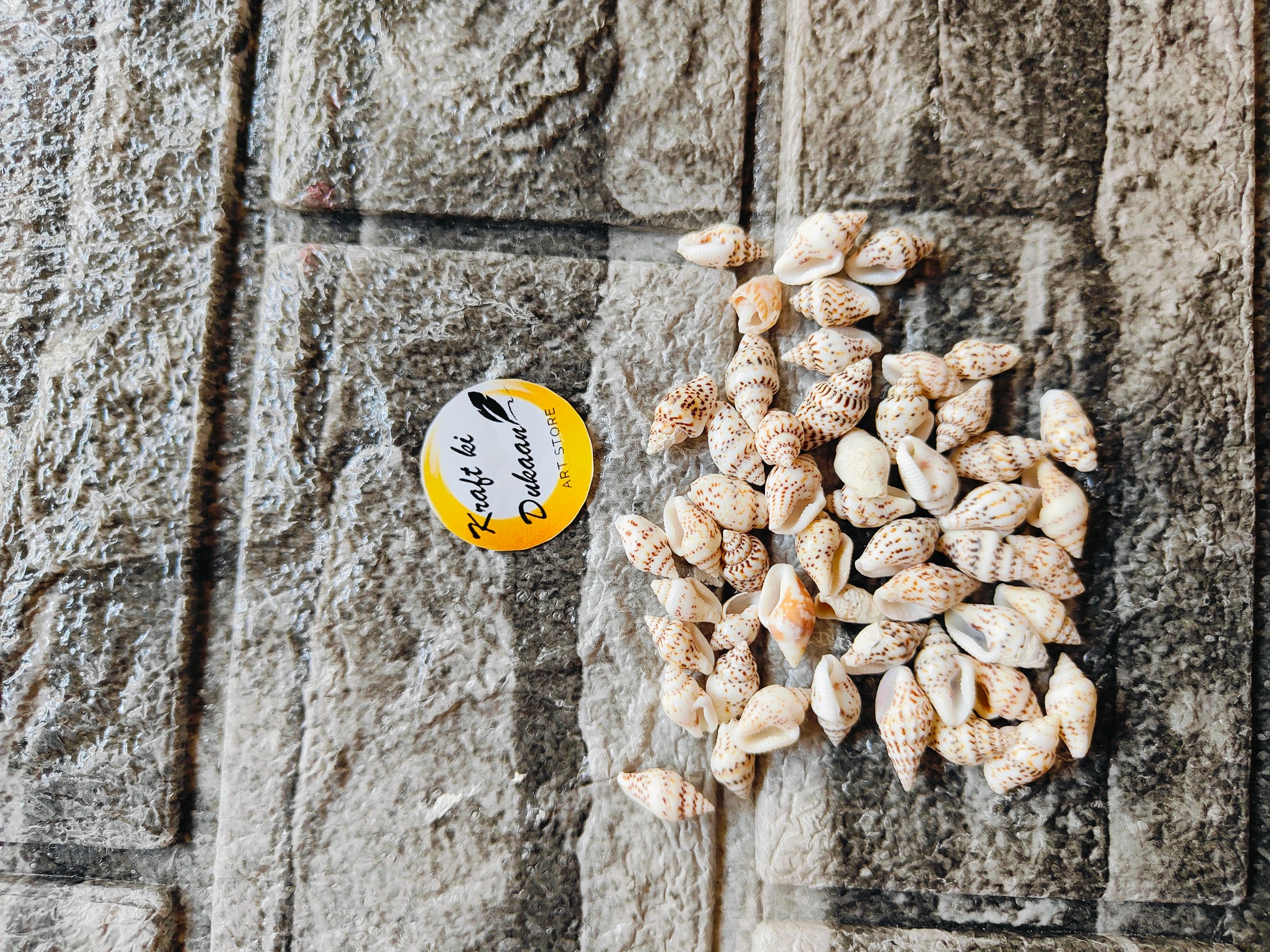 Sea Shell A8 - Kraft ki Dukaan