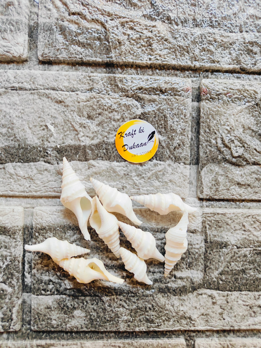 Sea Shell A9 - Kraft ki Dukaan