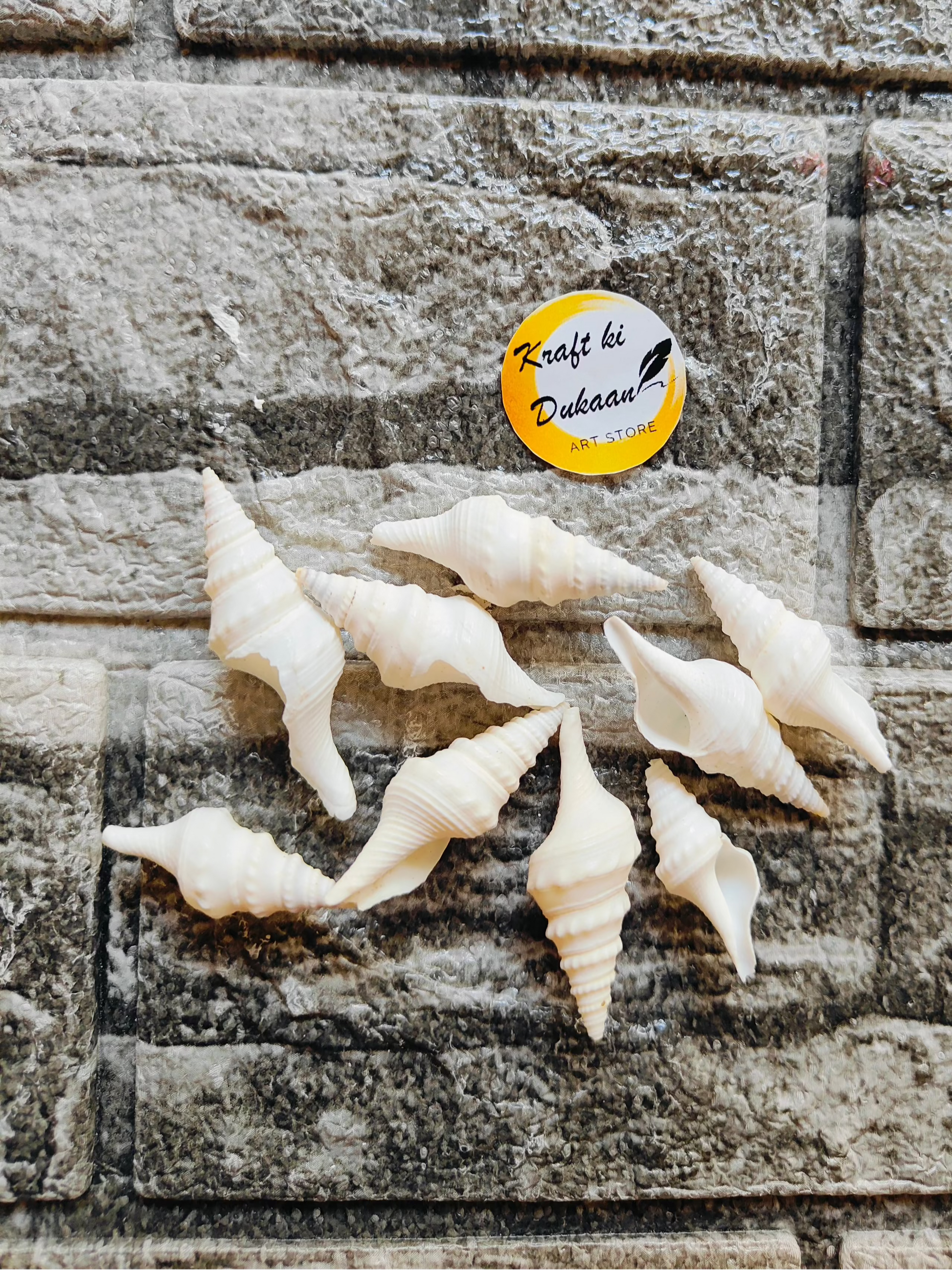 Sea Shell A9 - Kraft ki Dukaan