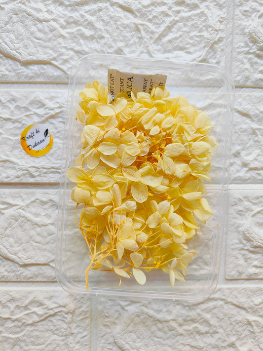 Dry Flower Box B1 - Kraft ki Dukaan