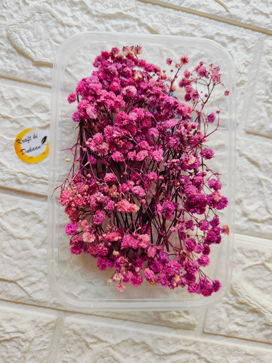 Dry Flower Box D3 - Kraft ki Dukaan