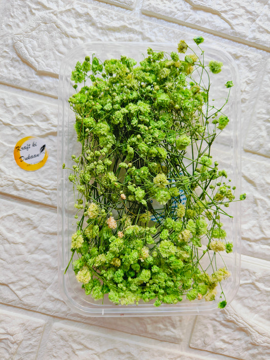 Dry Flower Box D1 - Kraft ki Dukaan