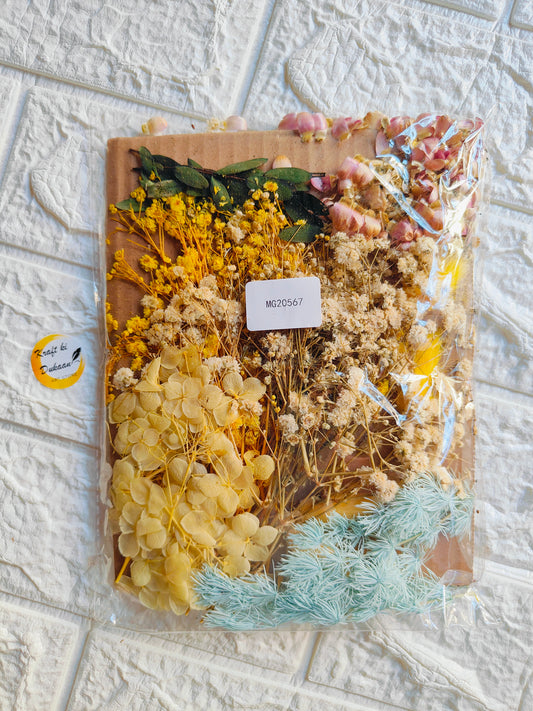 Mix Dry Flower Sheet Big A2 - Kraft ki Dukaan