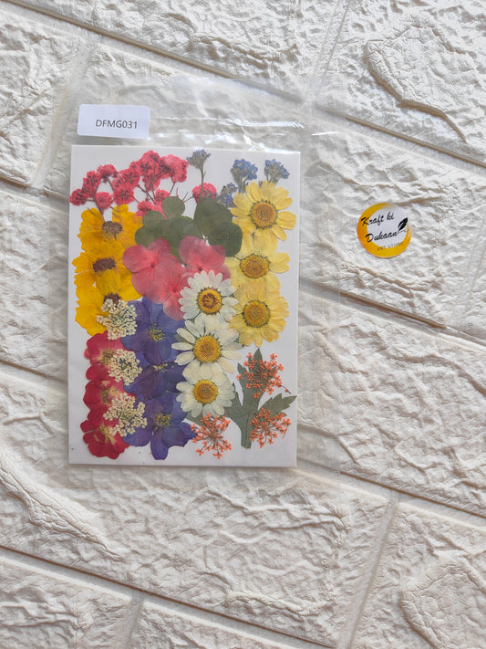 Pressed Flower Sheet Mix B3 - Kraft ki Dukaan