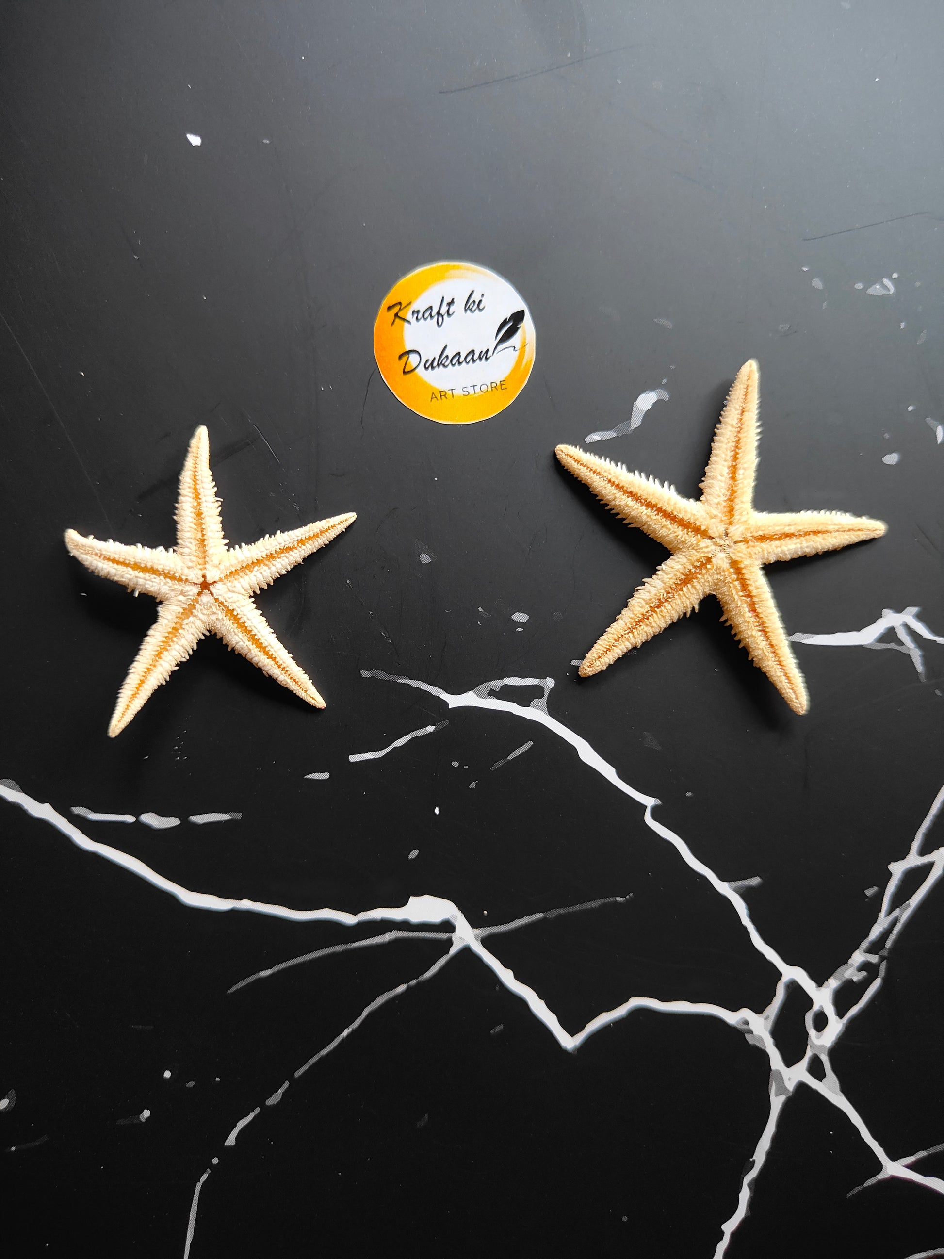 Star Fish 10PC Box - Kraft ki Dukaan