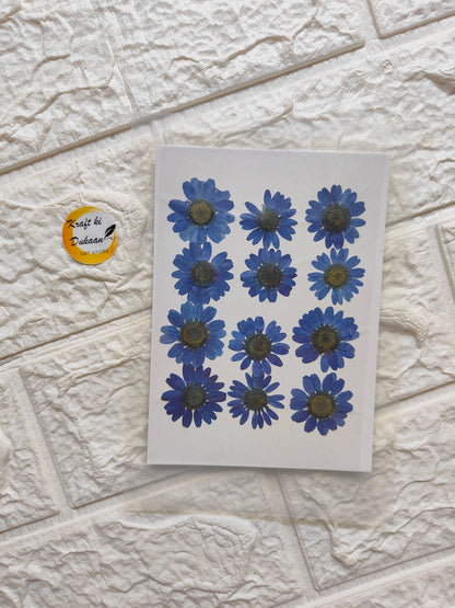 Daisy Pressed Flower Sheet - Kraft ki Dukaan