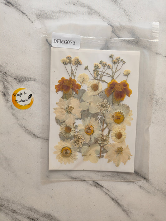 Pressed Flower Sheet Mix B12