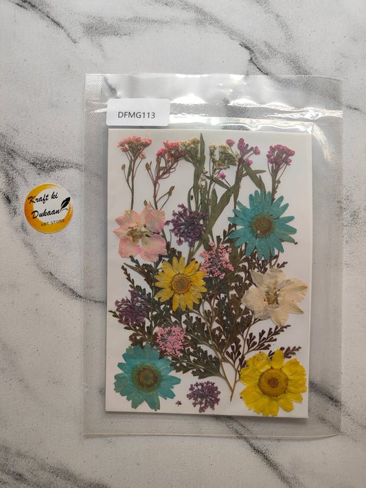 Pressed Flower Sheet Mix B24