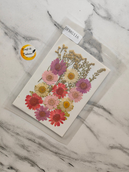 Pressed Flower Sheet Mix B22
