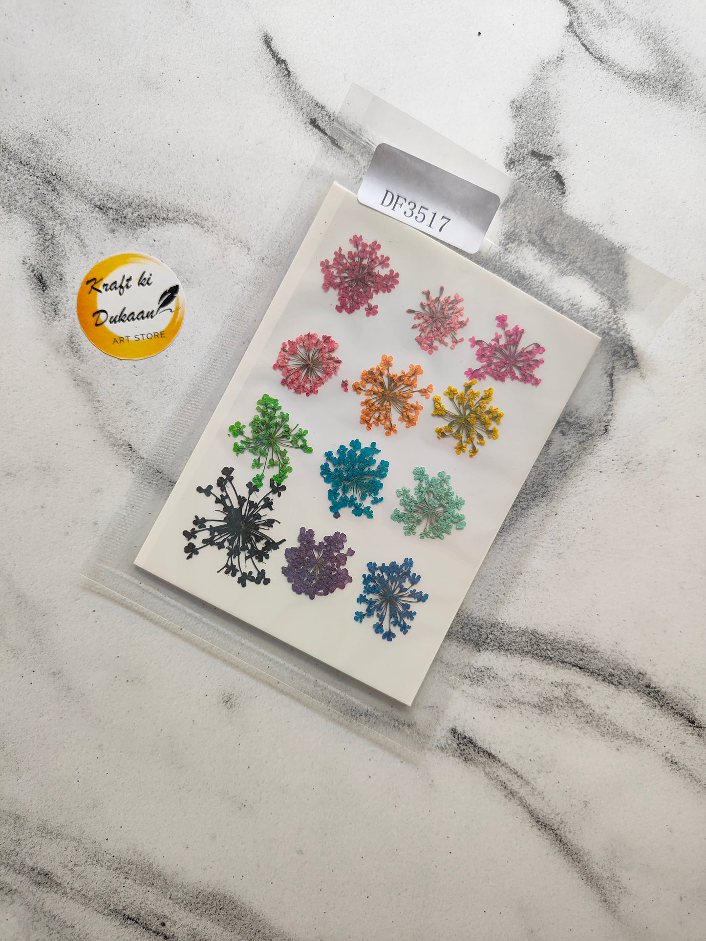 Queen Breath Pressed Flower 12PC Multi