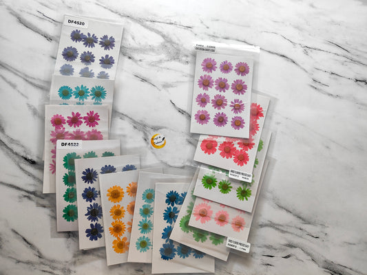 Daisy Pressed Flower Sheet