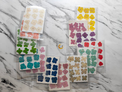 Pressed Flower Sheet 4 Kali