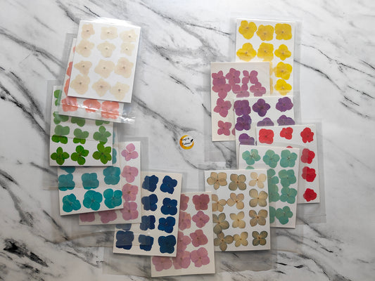 Pressed Flower Sheet 4 Kali