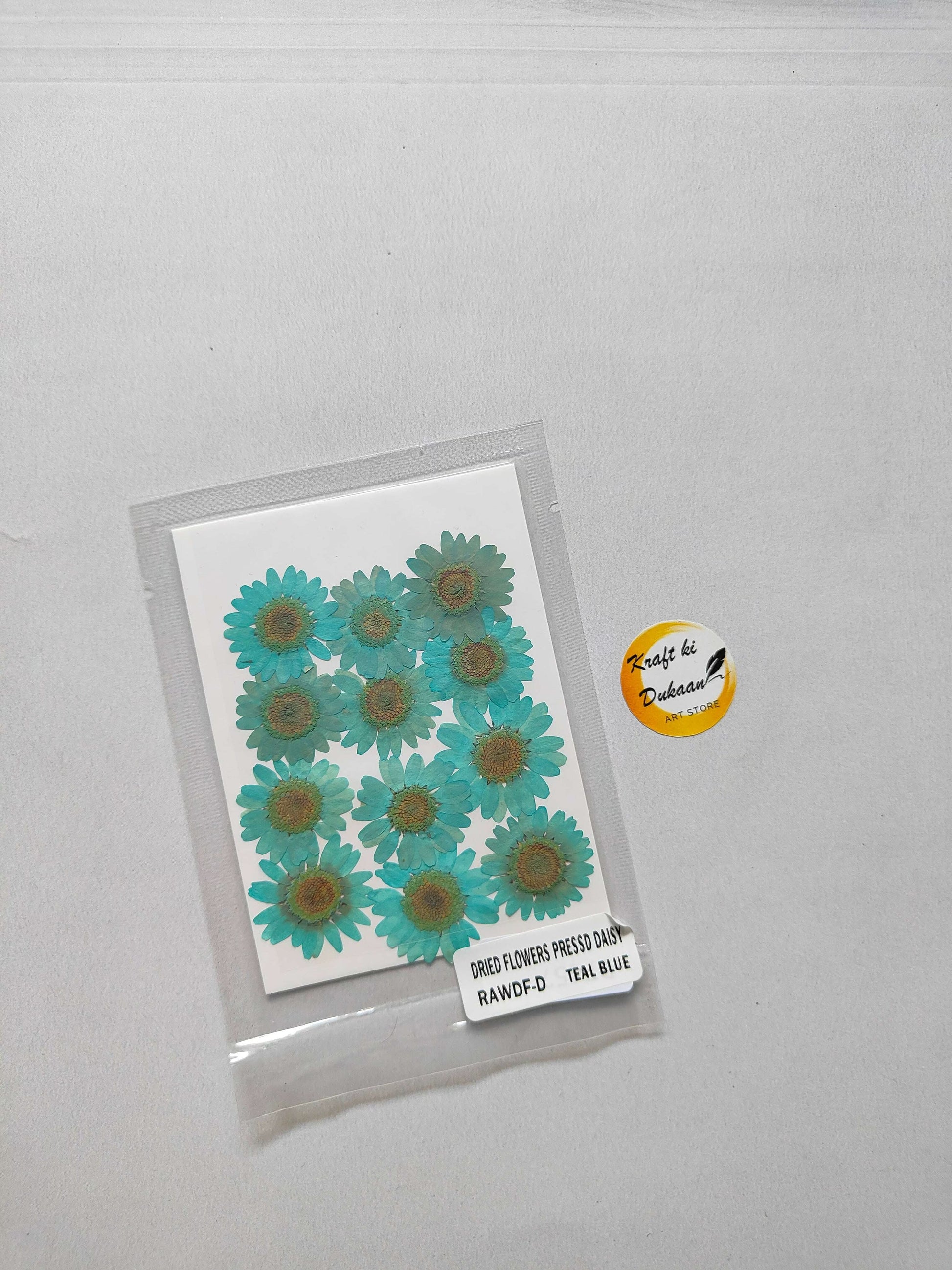 Daisy pressed flower sheet, teal blue daisies, sealed pack