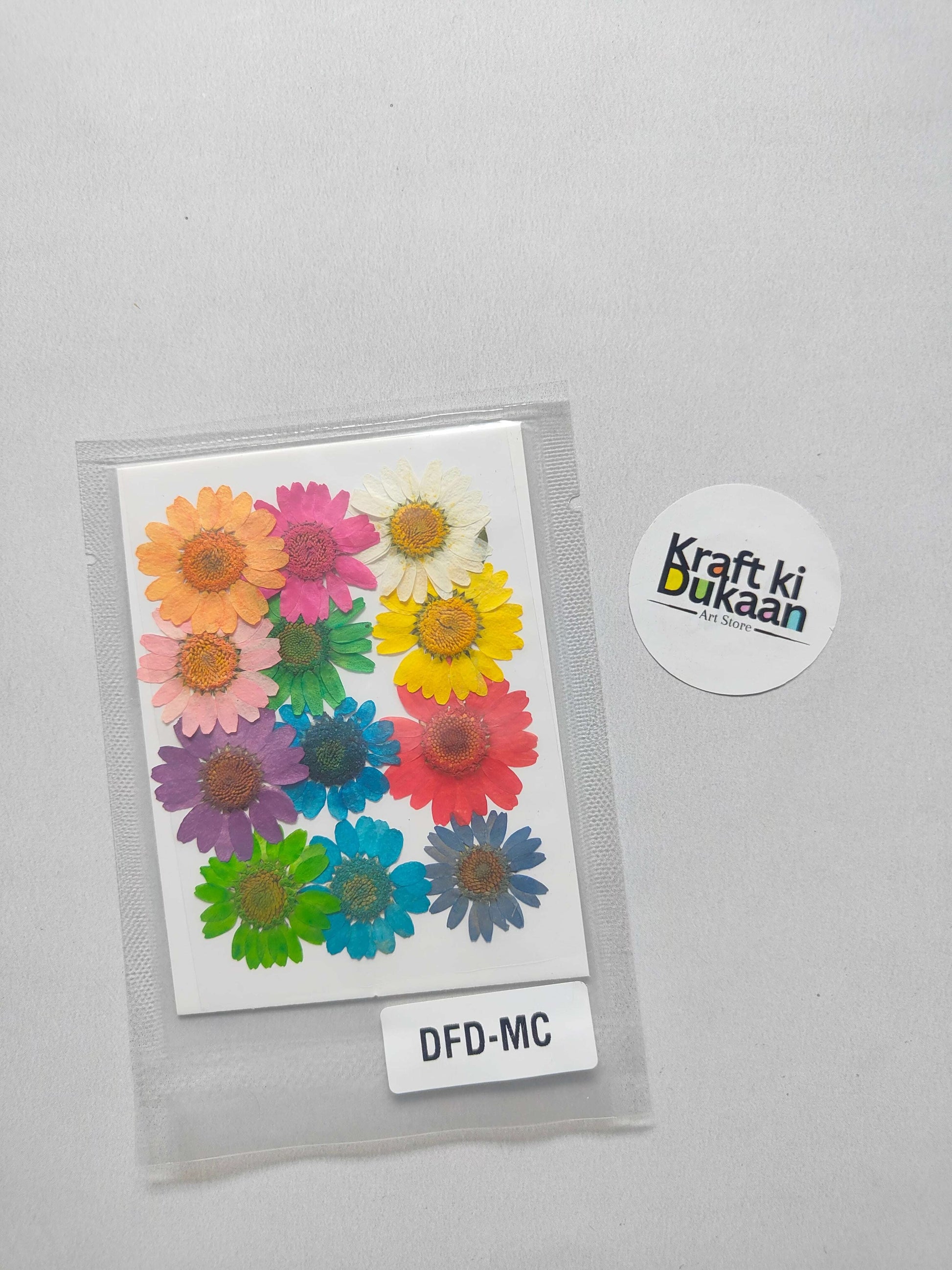 Multi-color daisy pressed flower sheet in clear sleeve, label DFD-MC visible