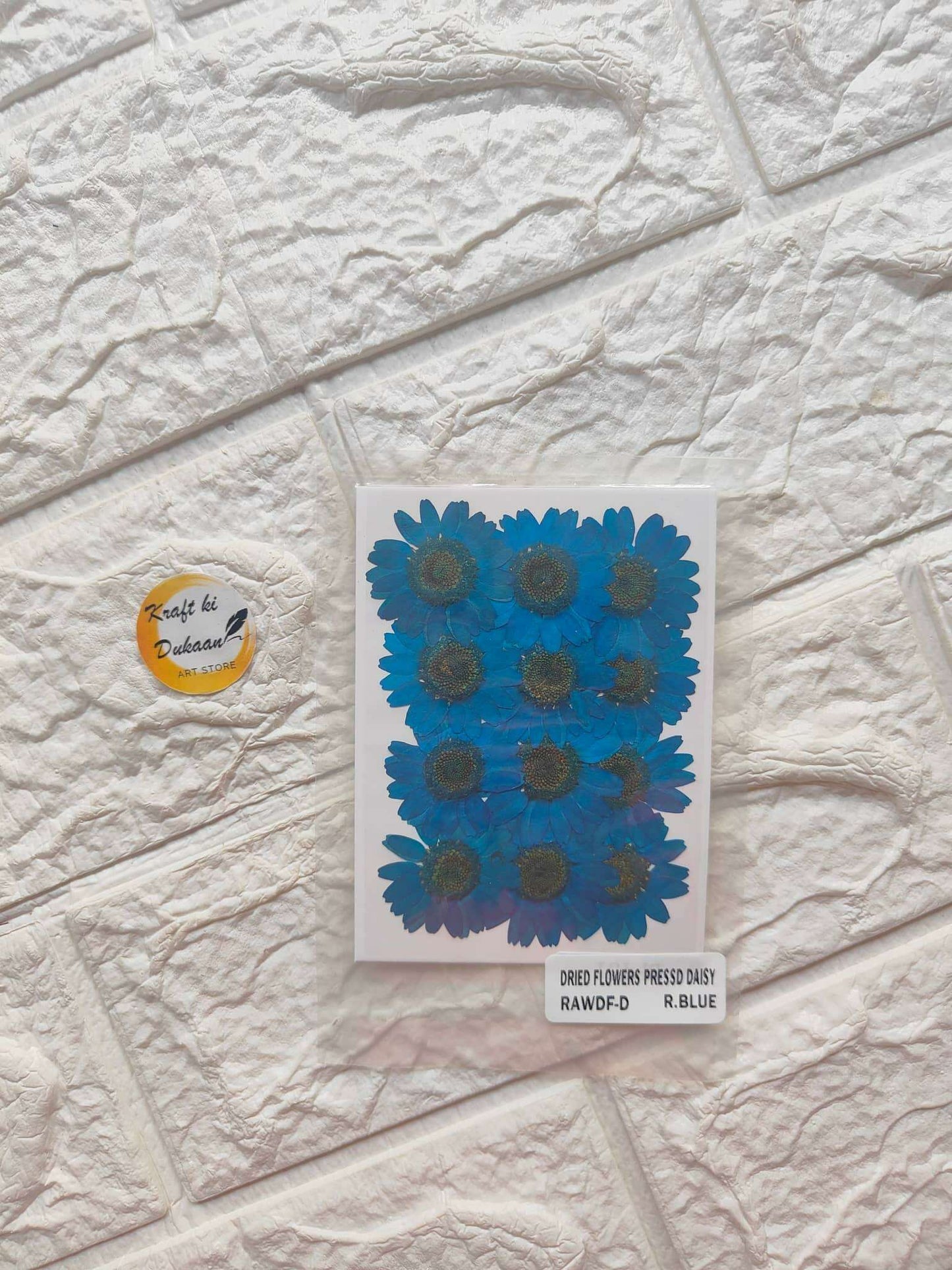 Daisy pressed flower sheet, blue pressed daisy heads on white