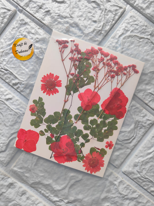 A15 pressed flower sheet for resin art featuring vibrant red flowers on a white background