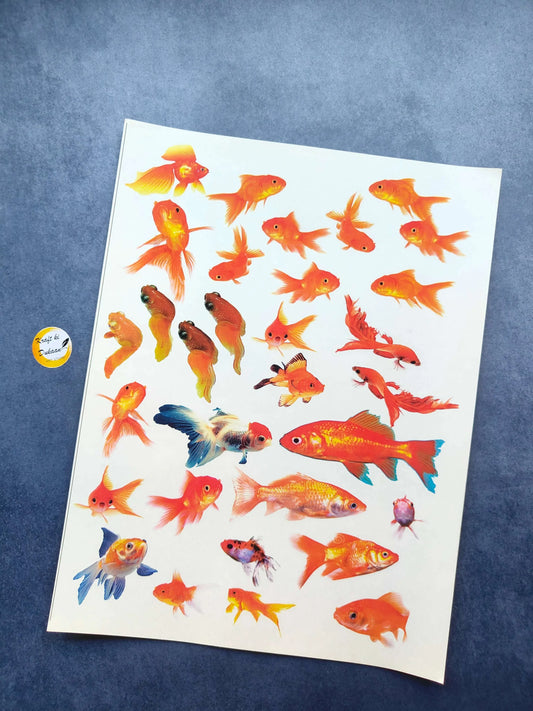 A4 colour sticker sheet with orange and blue fish illustrations