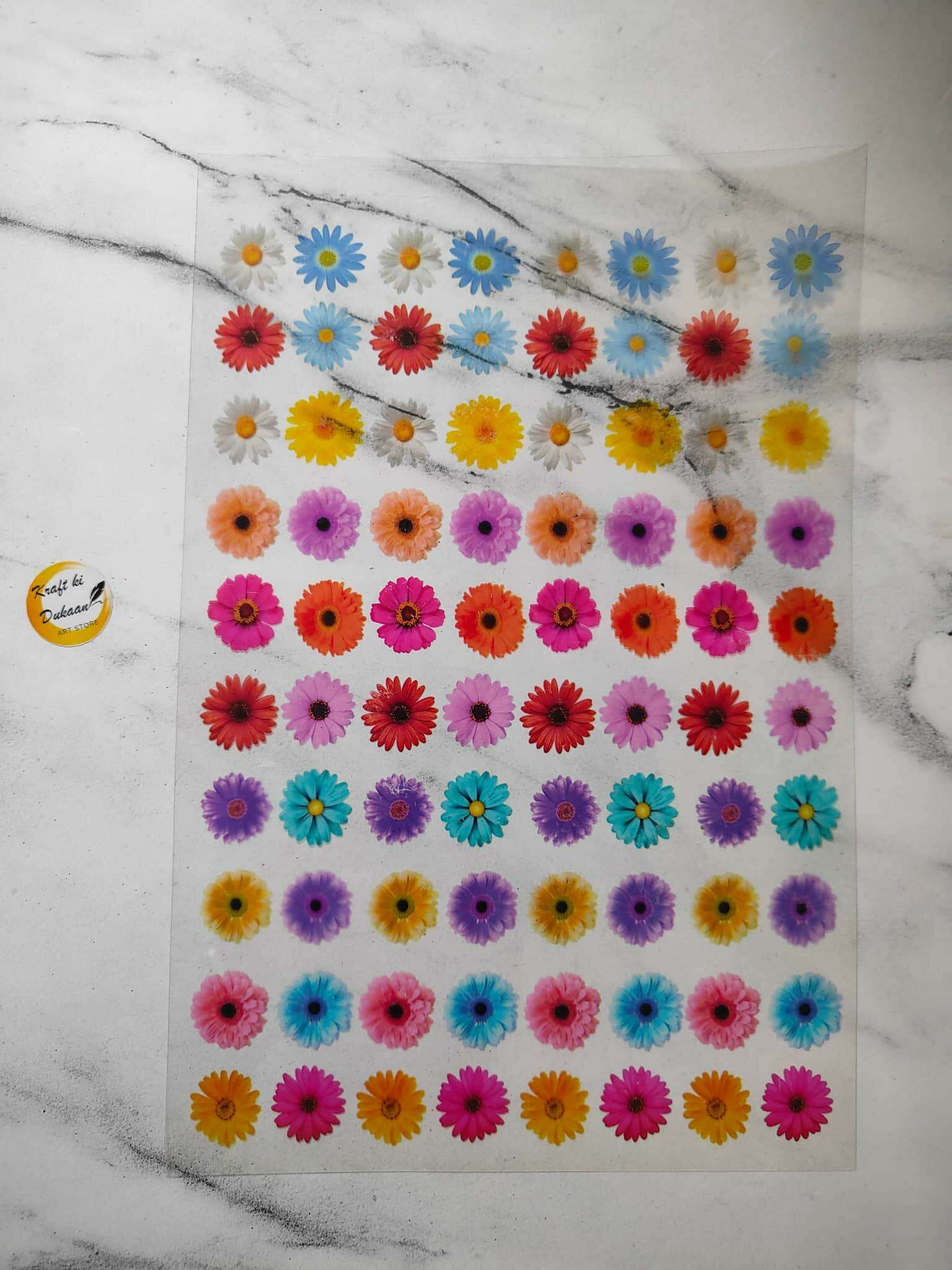 A4 Insert Sheet B8 with multicolor daisy-style flower prints on clear sheet
