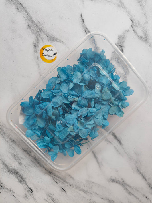 Blue dried hydrangea flowers for crafts in a clear storage container from Kraft ki Dukaan