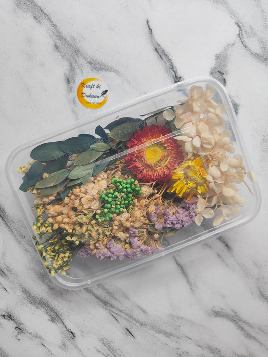 A transparent container filled with various dried flowers and plants, perfect to buy dried flowers online