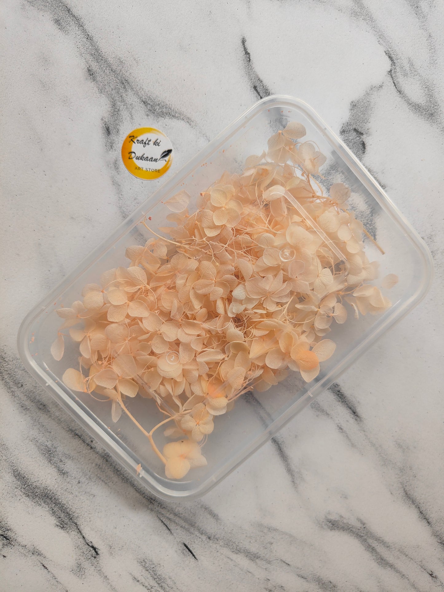 Transparent container with dried hydrangea flowers for decoration, buy hydrangea dry flower box online