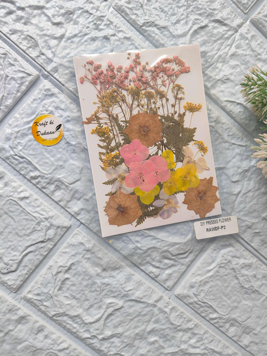 Compressed Flower Sheet Mix A3 with multicolored pressed flowers on light paper