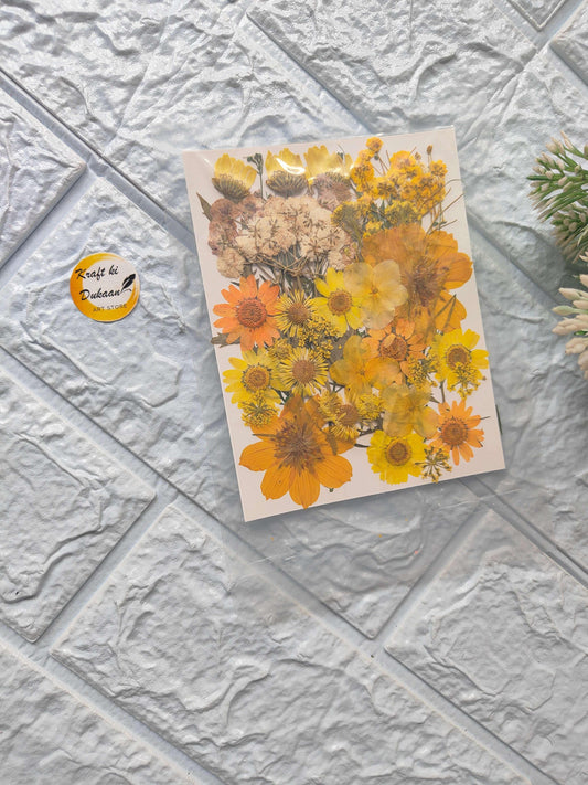 Compressed Flower Sheet Mix A7 with assorted yellow and orange pressed flowers