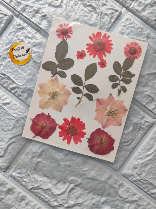 A12 pressed flower sheet mix featuring various dried flowers for crafting and decoration