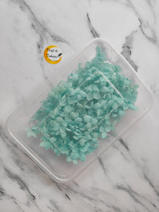 Light blue preserved hydrangea flowers for resin art in a clear container